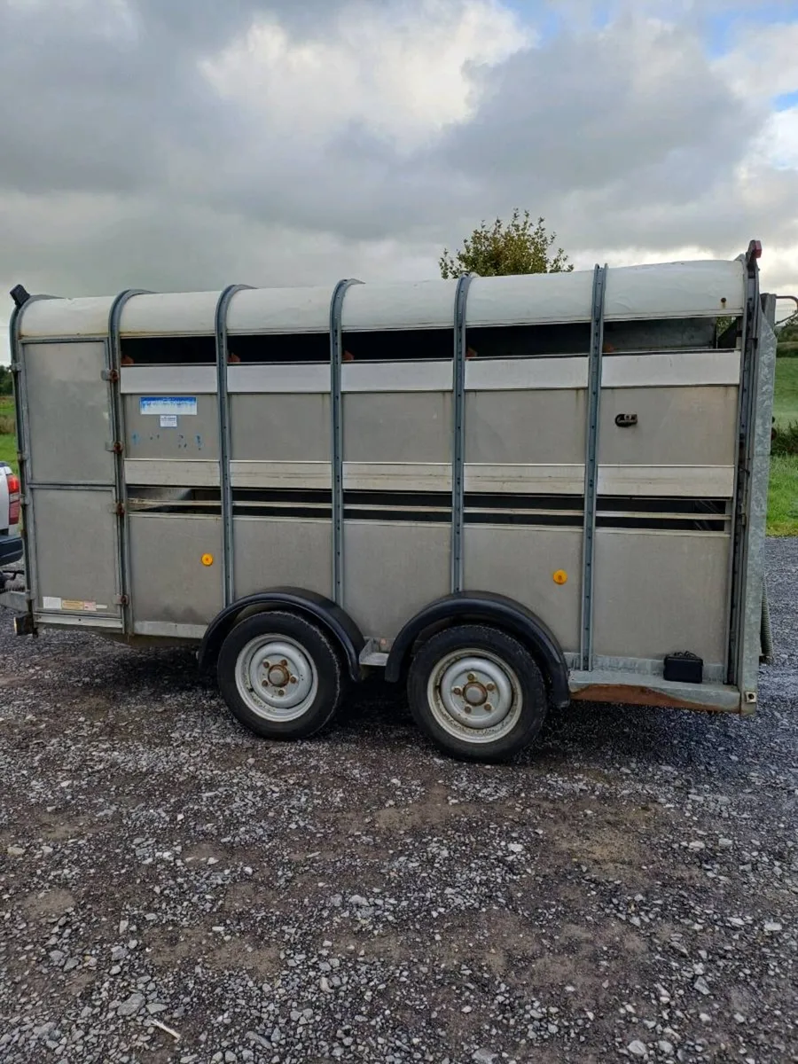 Ifor Williams 12ft cattle trailer €3500 Euros - Image 2