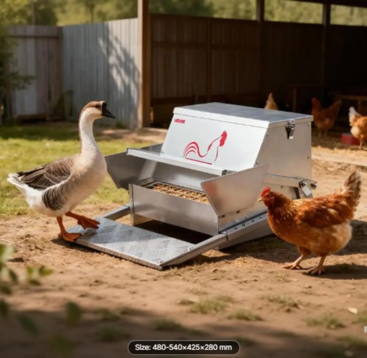 Automatic Chicken Feeder,11.34 kg Capacity,Rainpro - Image 3