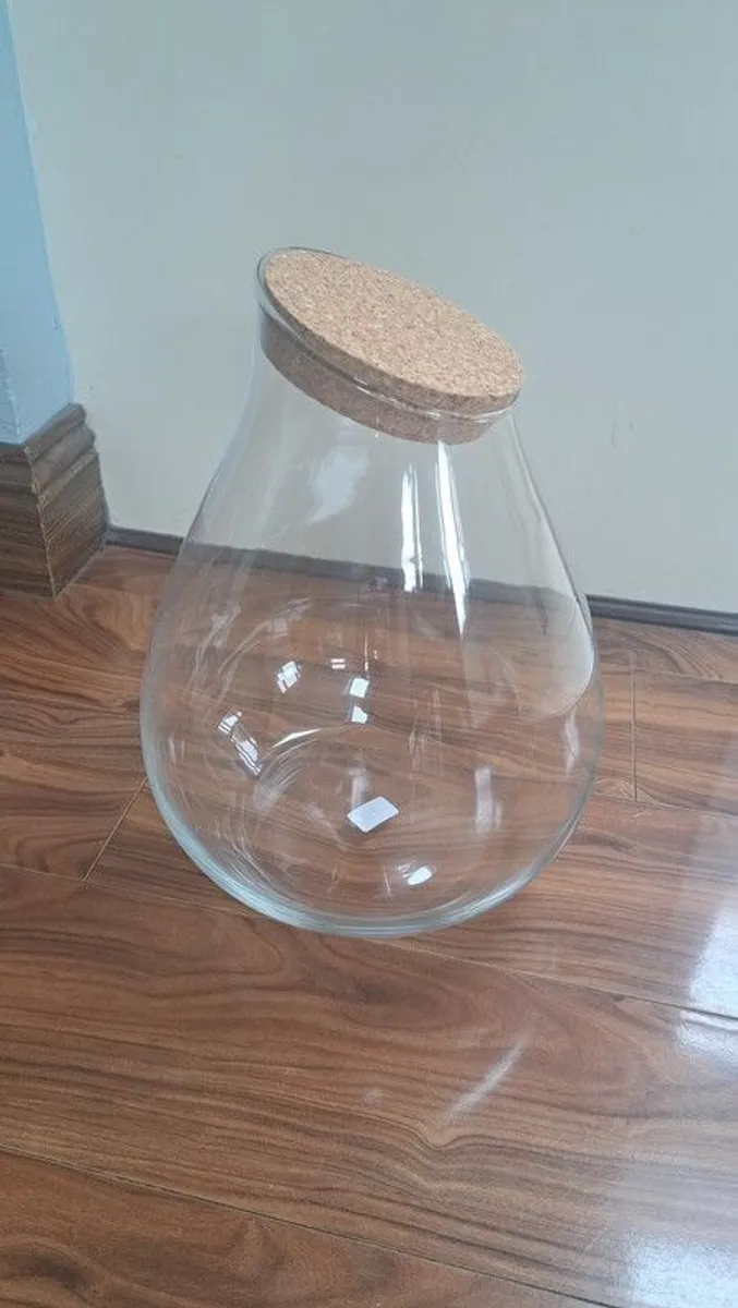 Terrarium kit - Image 1