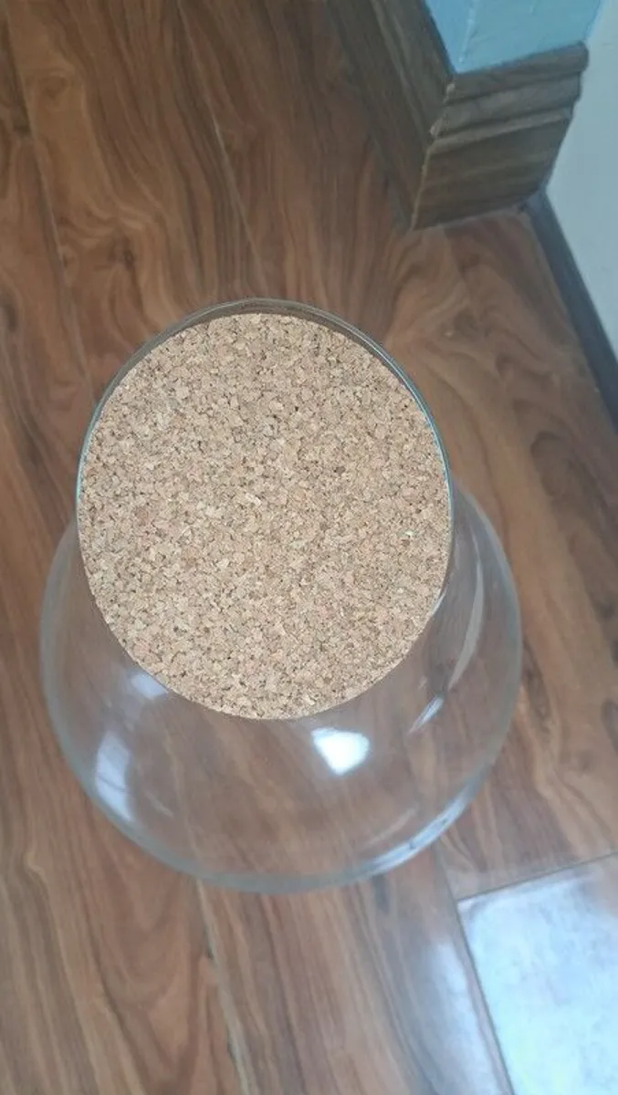 Terrarium kit - Image 2