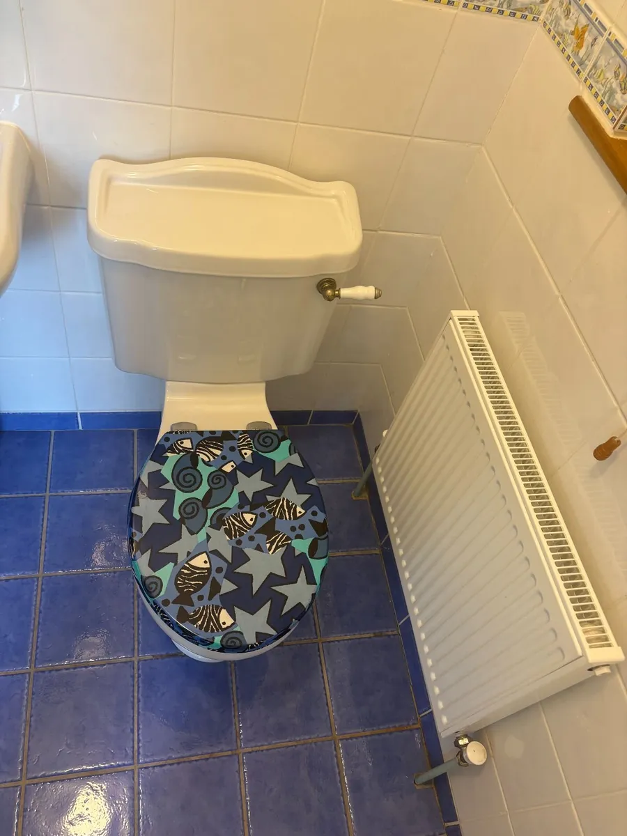 Traditional White Toilet with Decorative Seat - Image 2