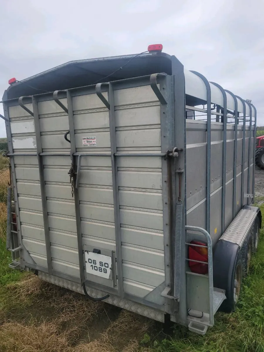 Hudson 12ft Cattle trailer - Image 4