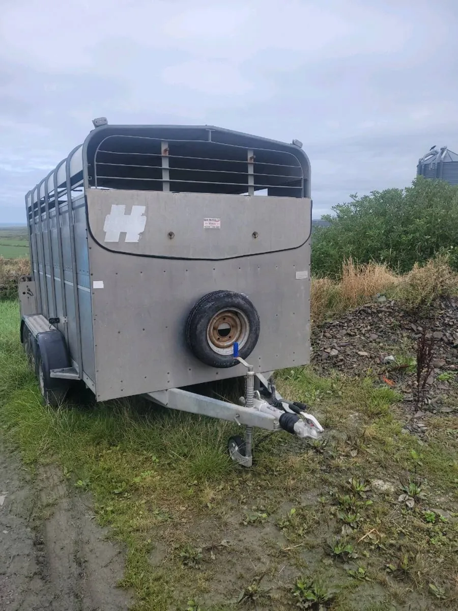 Hudson 12ft Cattle trailer - Image 1