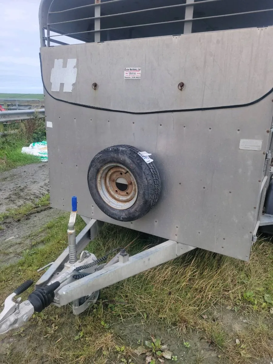 Hudson 12ft Cattle trailer - Image 2