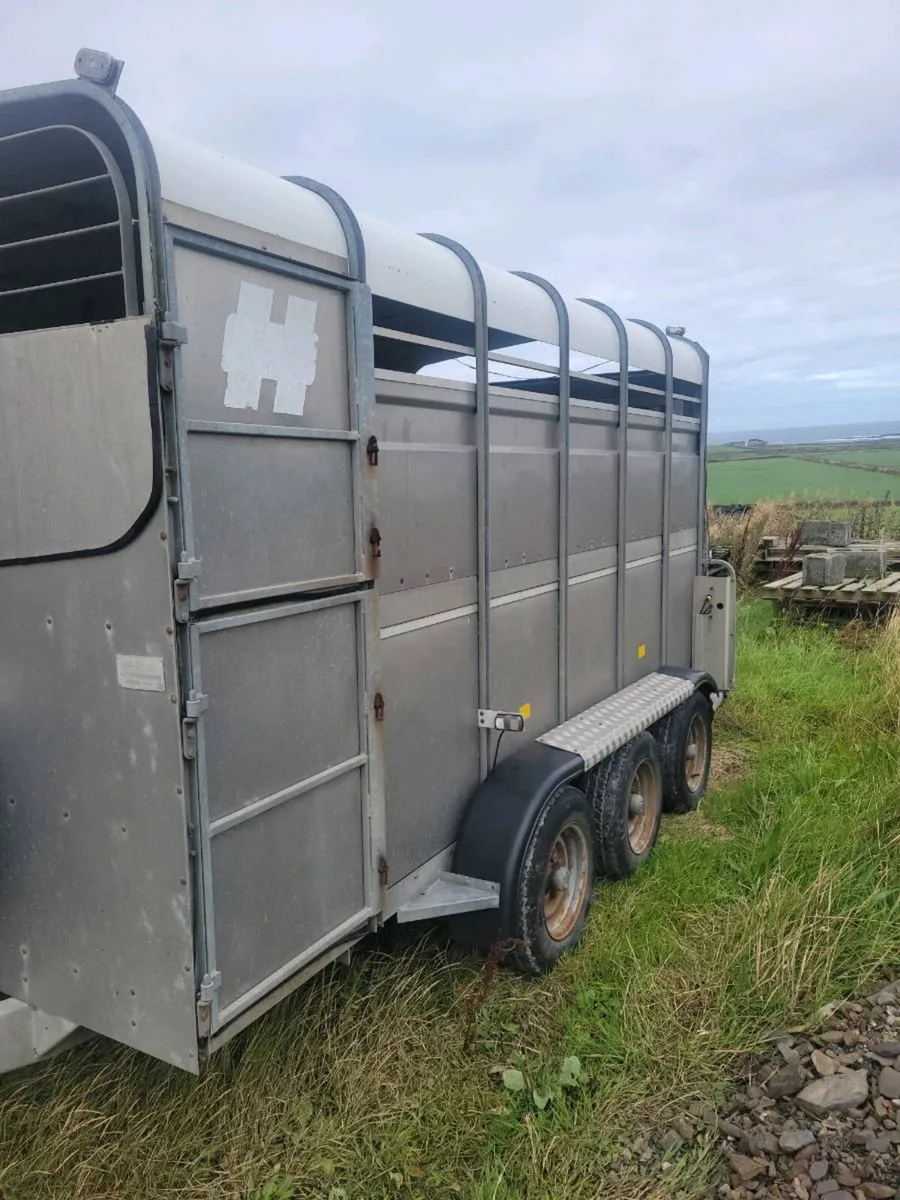 Hudson 12ft Cattle trailer - Image 3