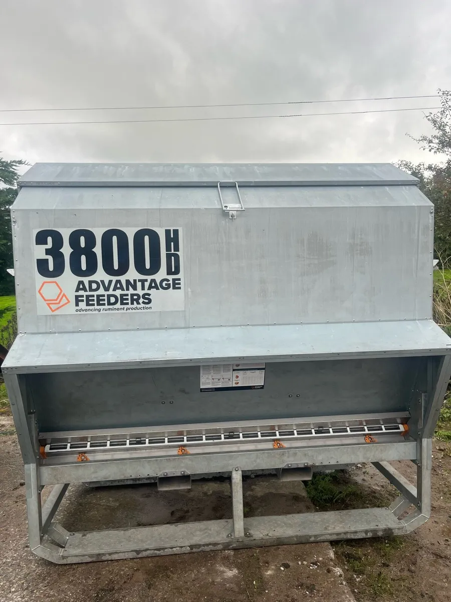 Automatic meal Feeder