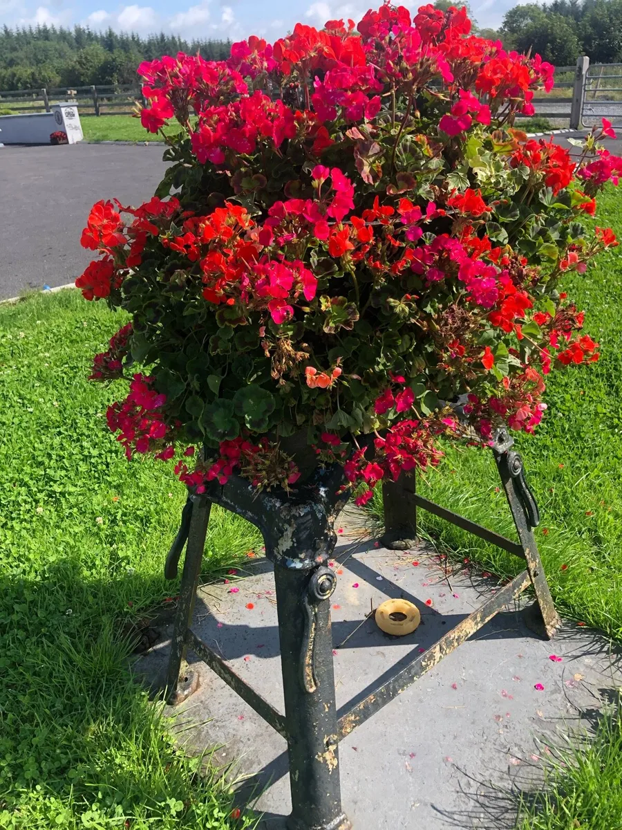 Business & Home planters - Image 2