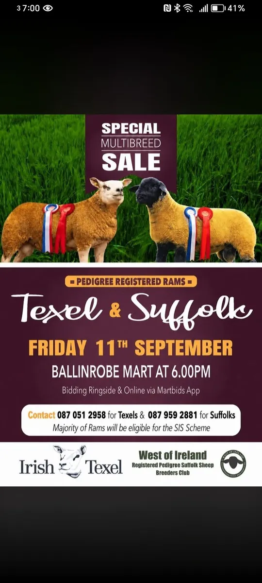 Multibreed Sales - Image 1