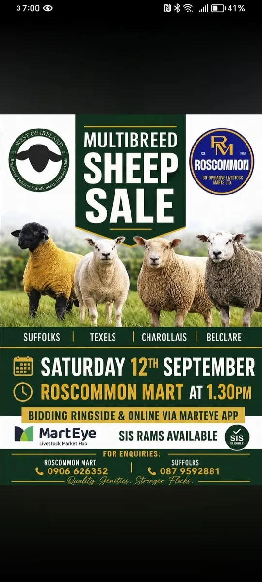 Multibreed Sales - Image 2
