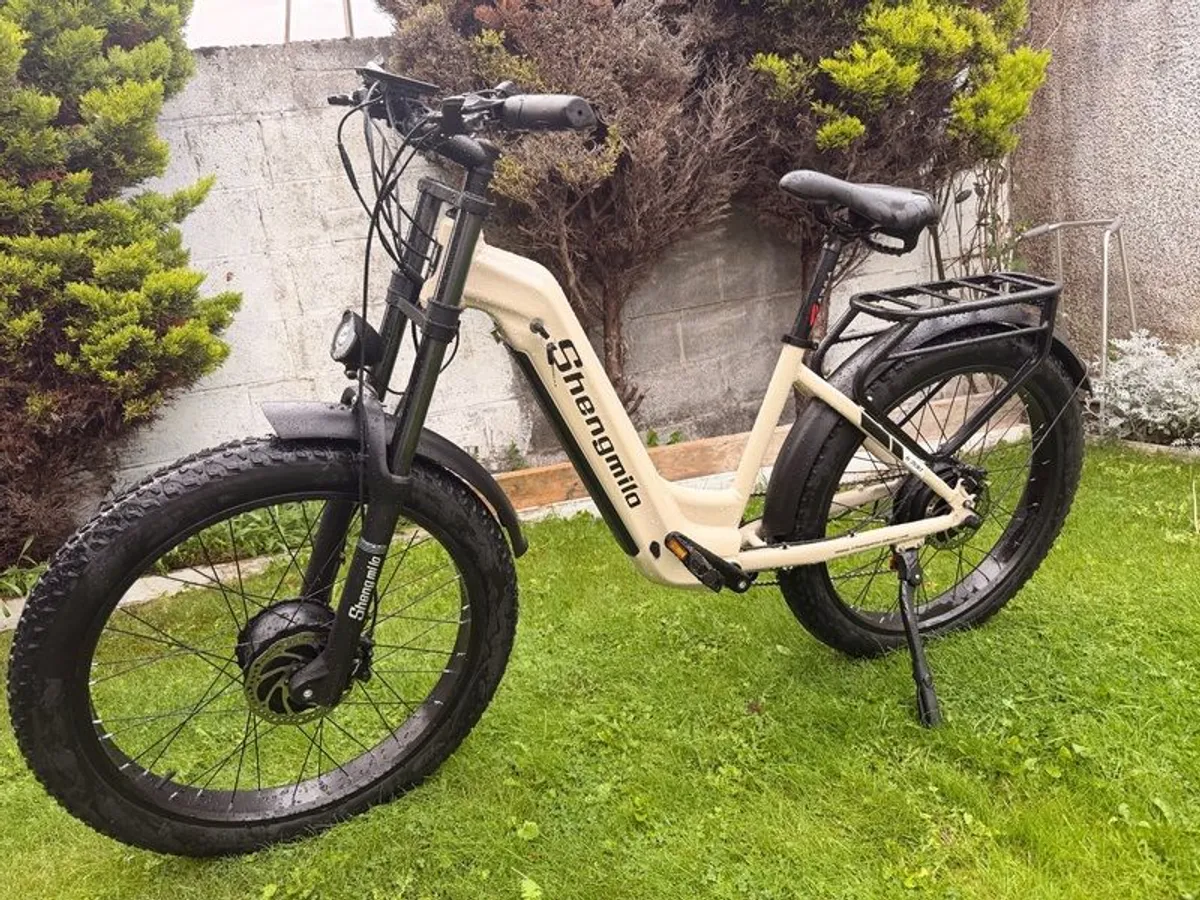 e bike - Image 2