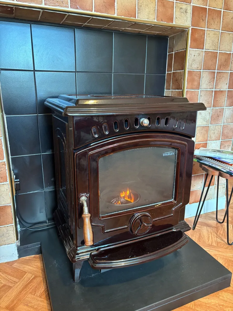 Tara Oil Stove - Image 2