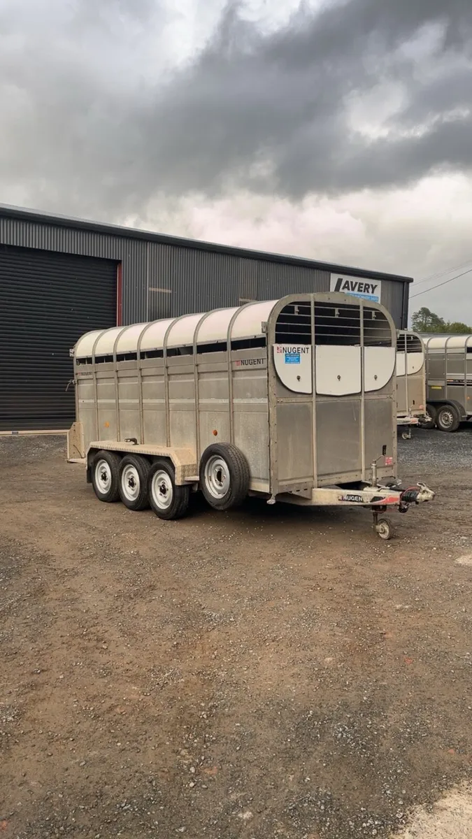Nugent 14x6 livestock trailer - Image 1
