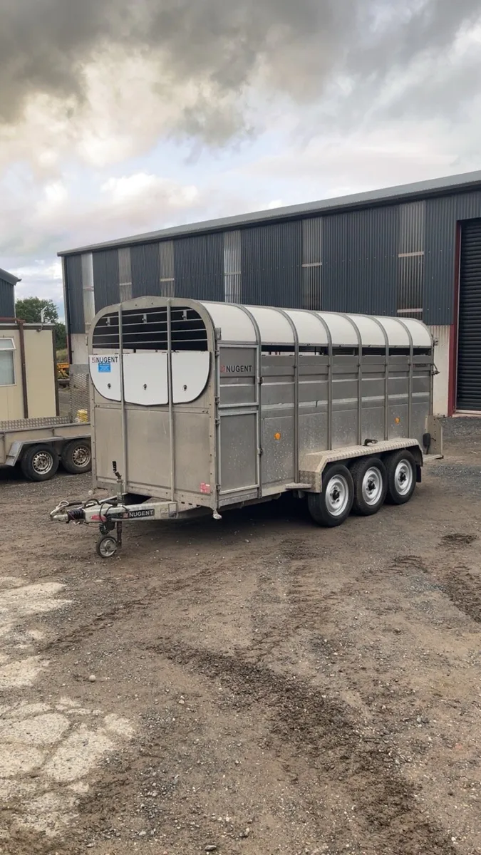 Nugent 14x6 livestock trailer - Image 2