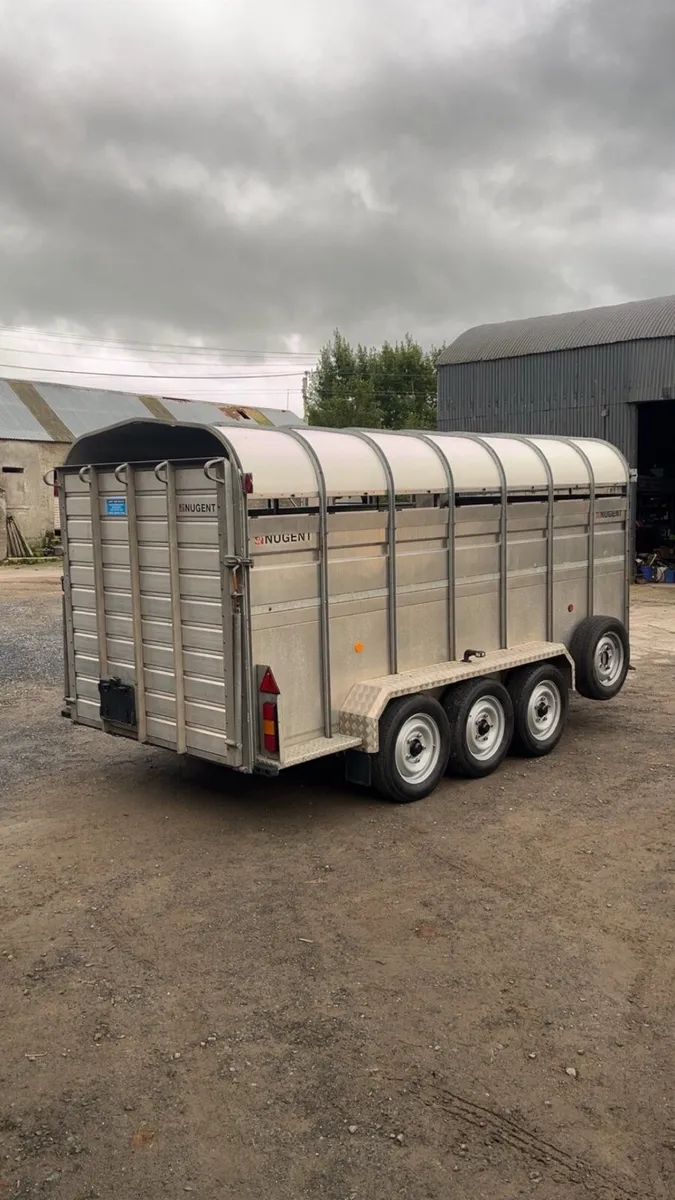 Nugent 14x6 livestock trailer - Image 4
