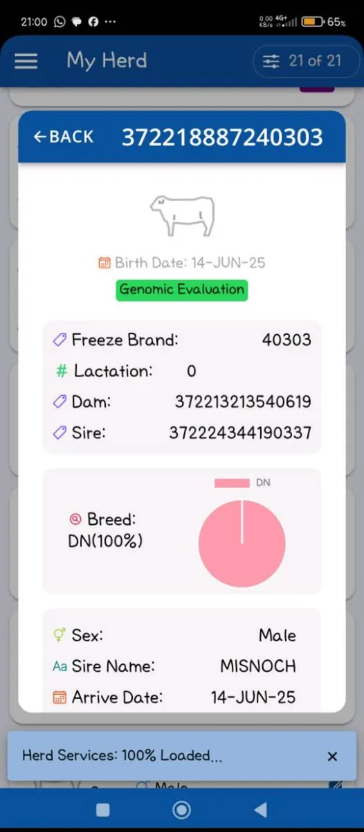 Pedigree Moiled & Droimeann bulls SWAP? - Image 1