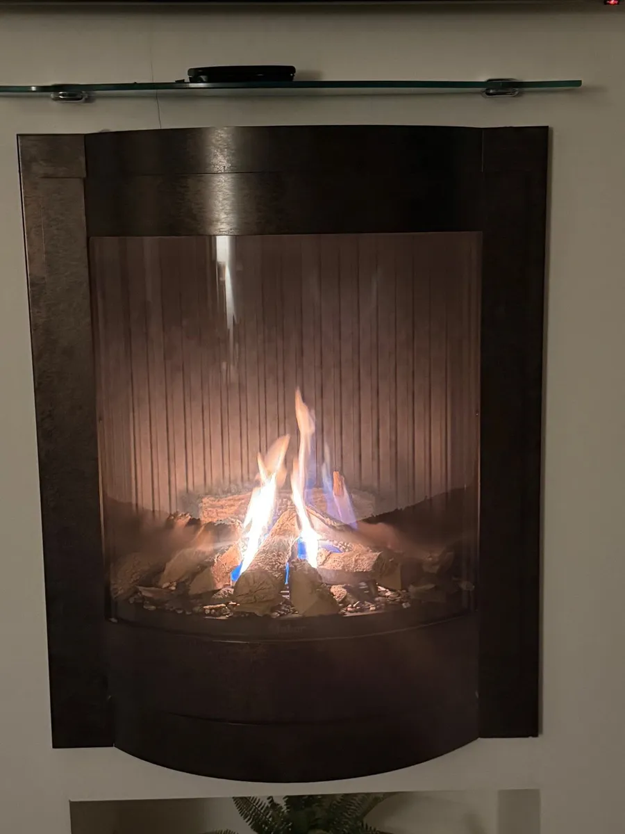 Faber Gas Fire