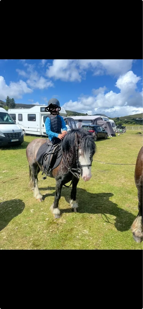 Pony - Image 2