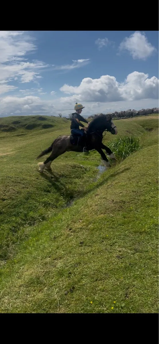 Pony - Image 1