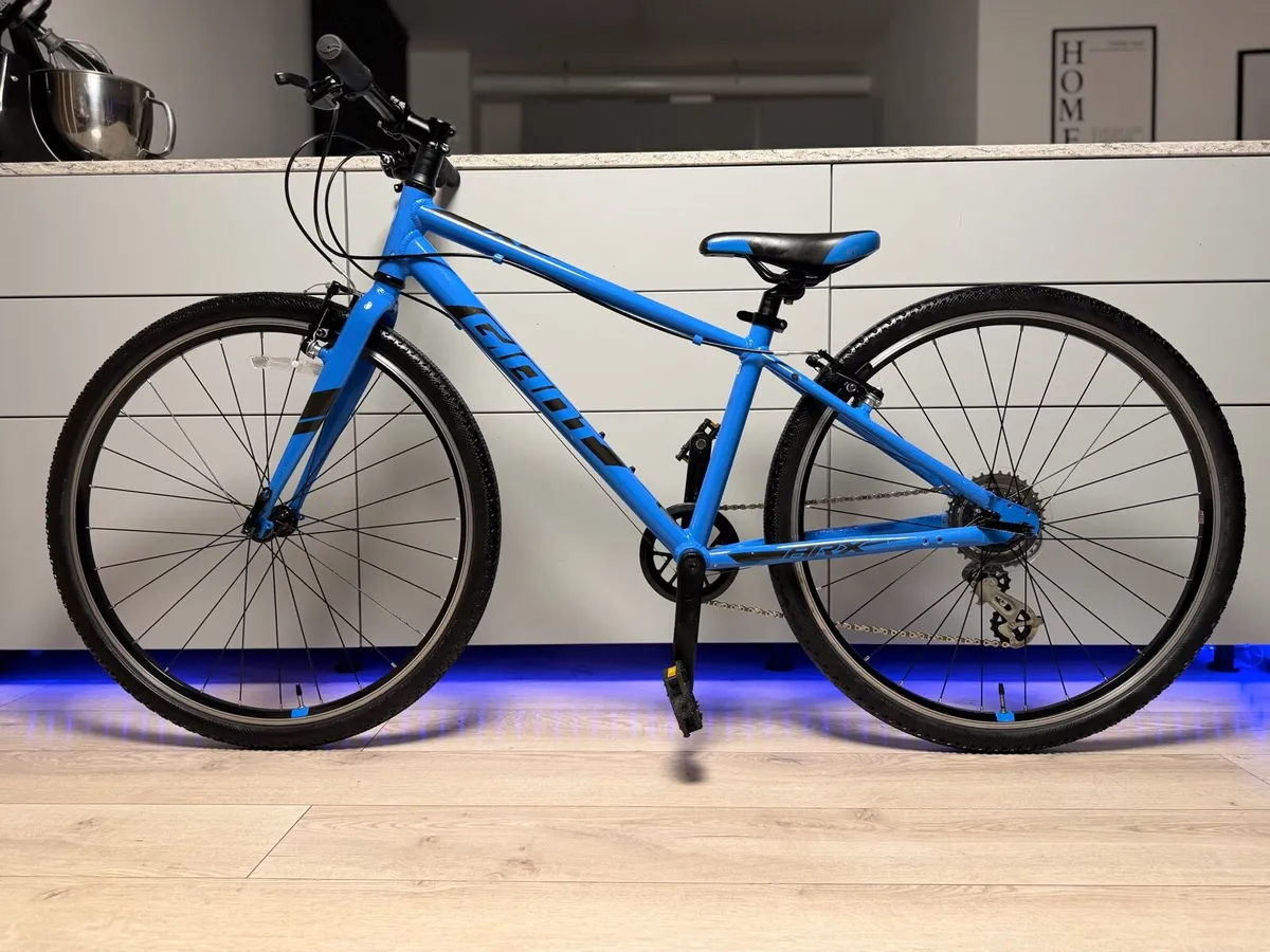 Giant ARX Junior Bike 26 inch - Image 2