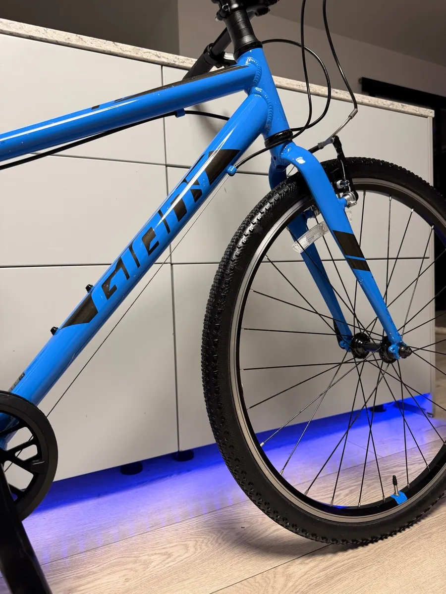 Giant ARX Junior Bike 26 inch - Image 3