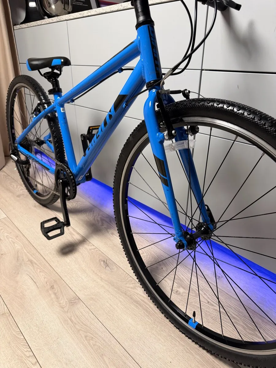 Giant ARX Junior Bike 26 inch - Image 4