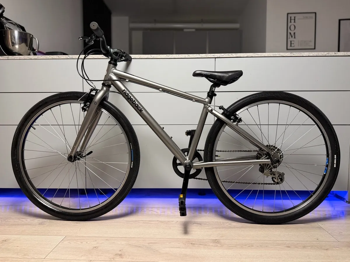 Ridgeback Dimension Junior Bike 26 inch - Image 2