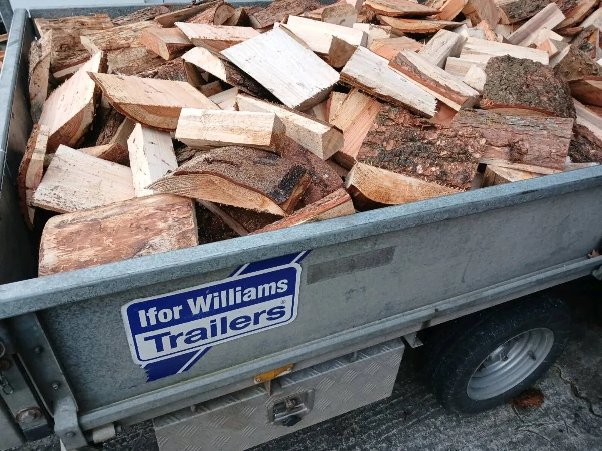 Firewood - Image 4