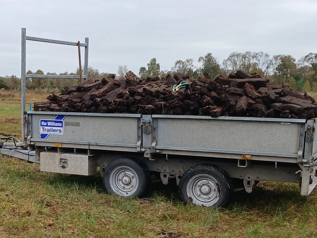 Firewood - Image 1