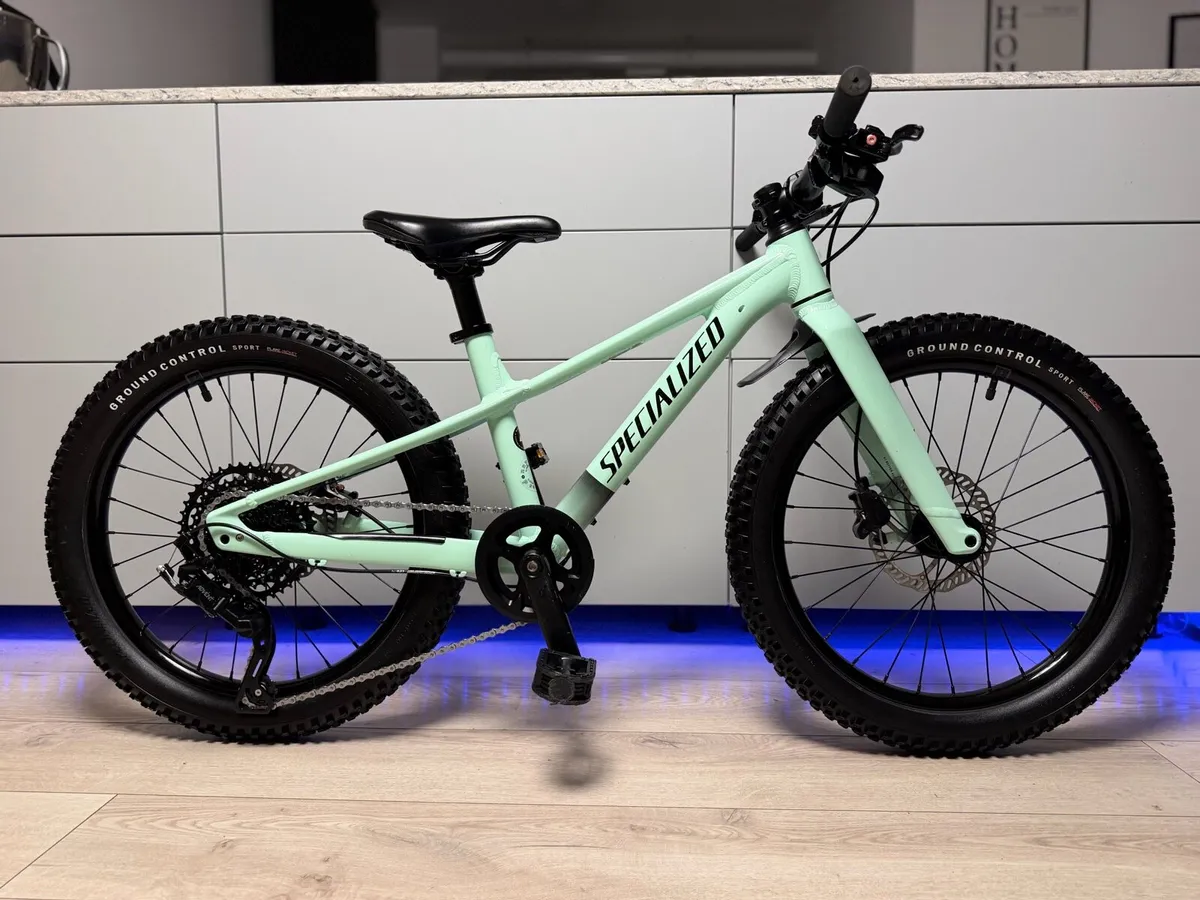 Specialized Rip Rock Kids Bike 20 inch - Image 1