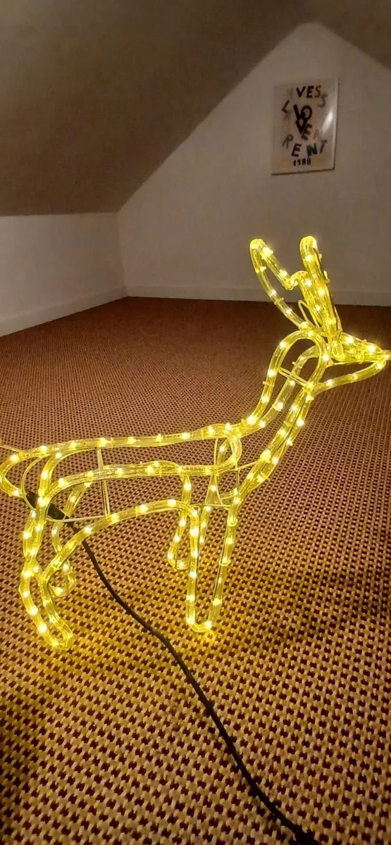 Reindeer light Christmas outdoors