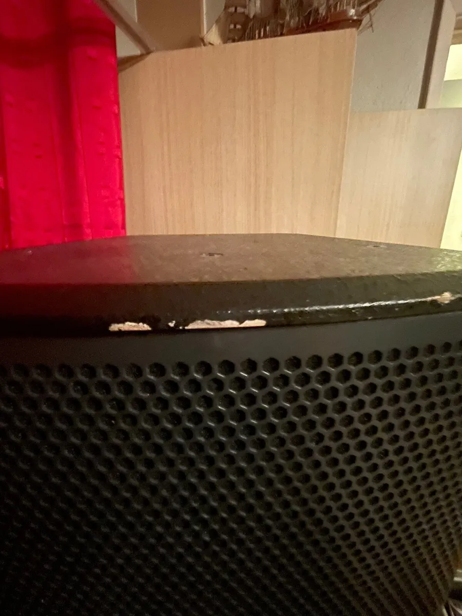 PA Speakers/Monitors - Image 2