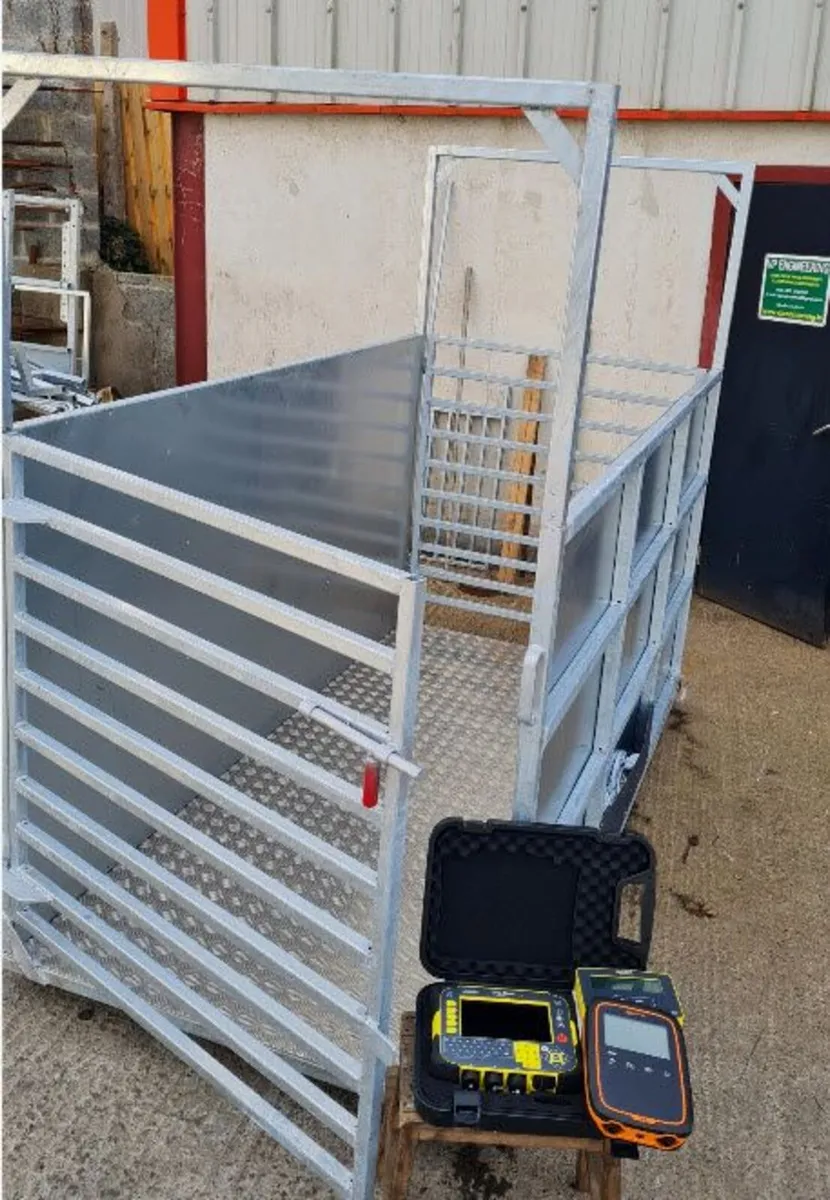 Cattle Weighing scales / crush handling - Image 2