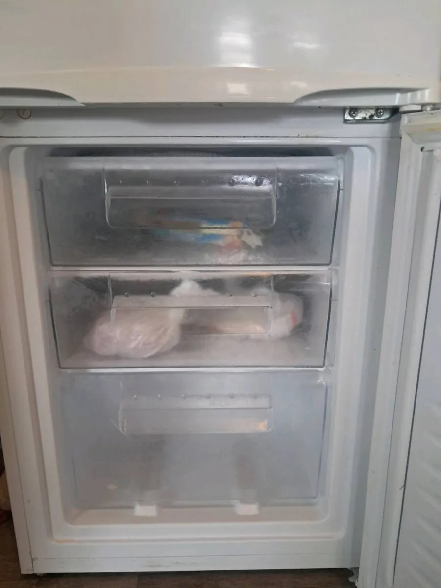 Belling Fridge Freezer - Image 4