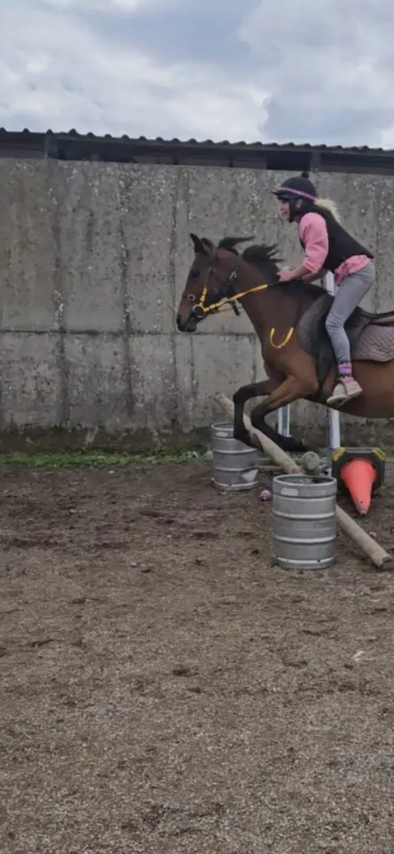 Riding horses 🐎 - Image 4