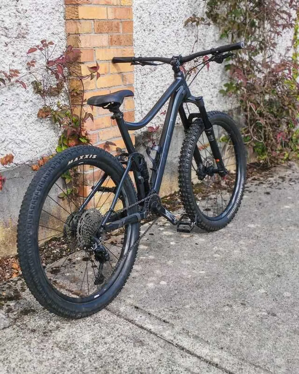 Giant Stance 2, L frame 2021 - Image 2