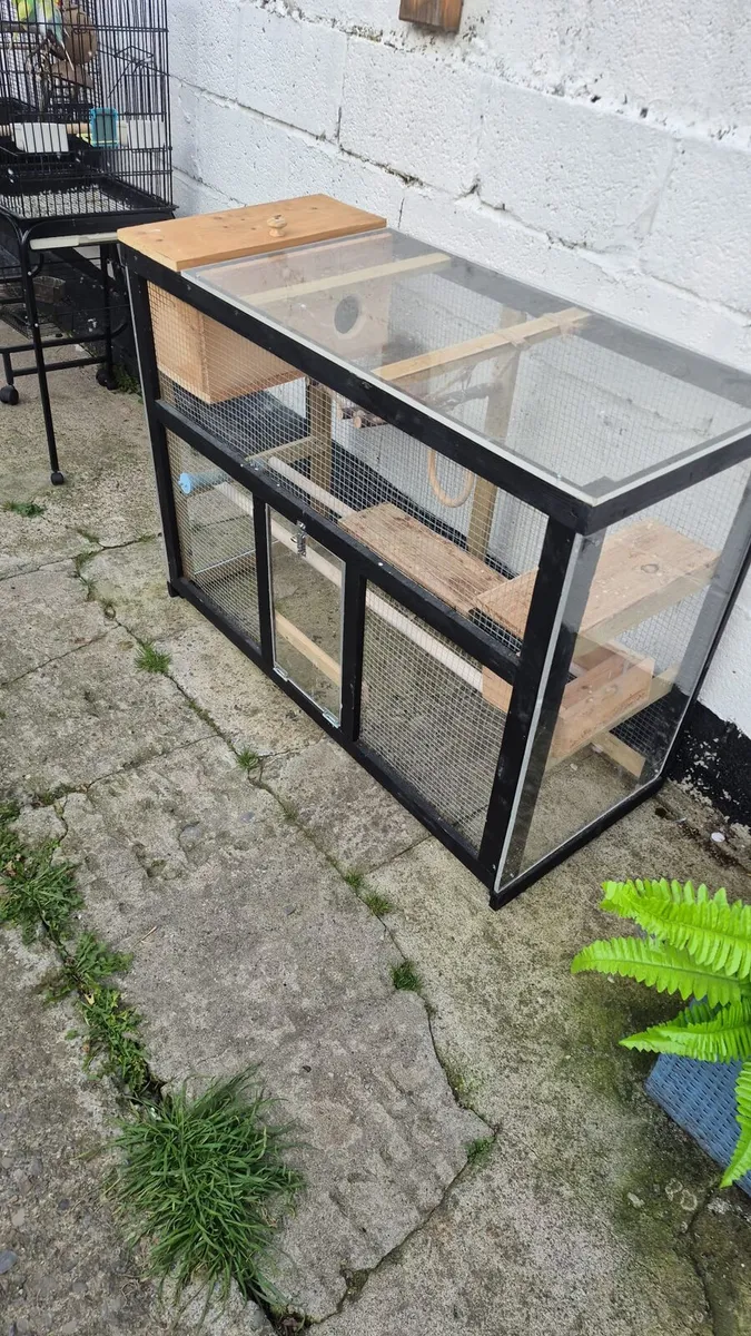 Pigeon loft// avairies/parrots /birds - Image 1