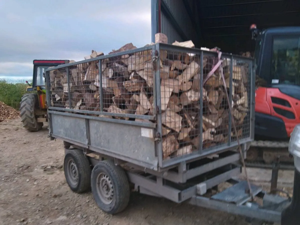 Firewood seasoned - Image 3