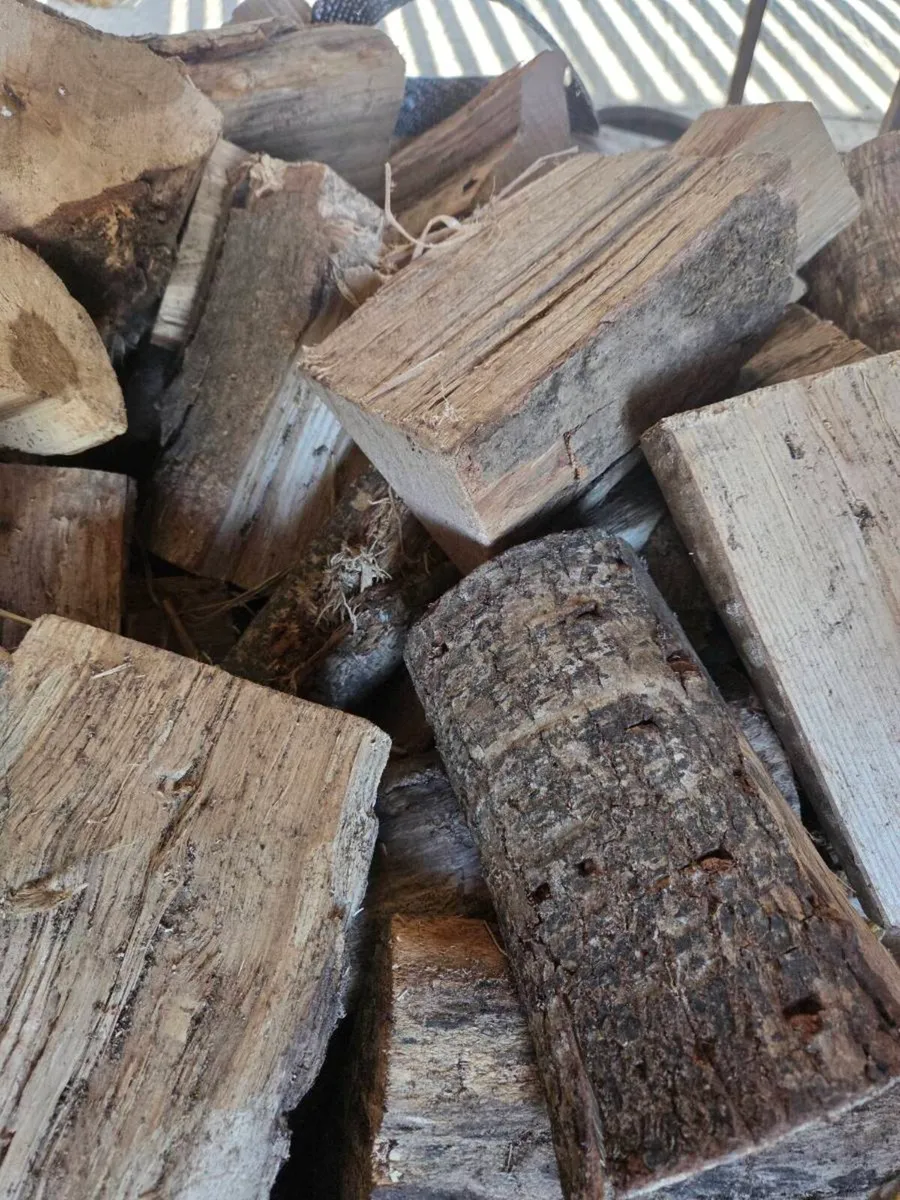 Hardwood - Image 2