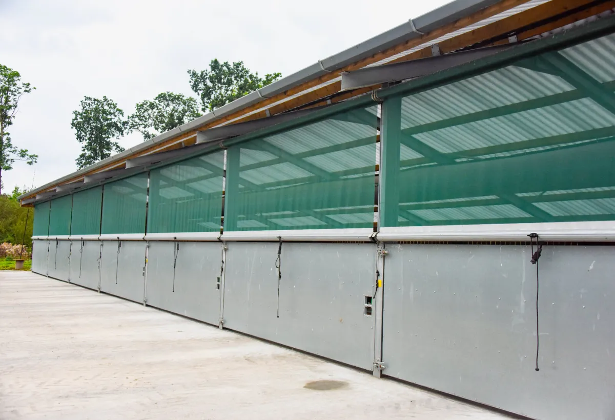 Mono Calf Building - Image 3