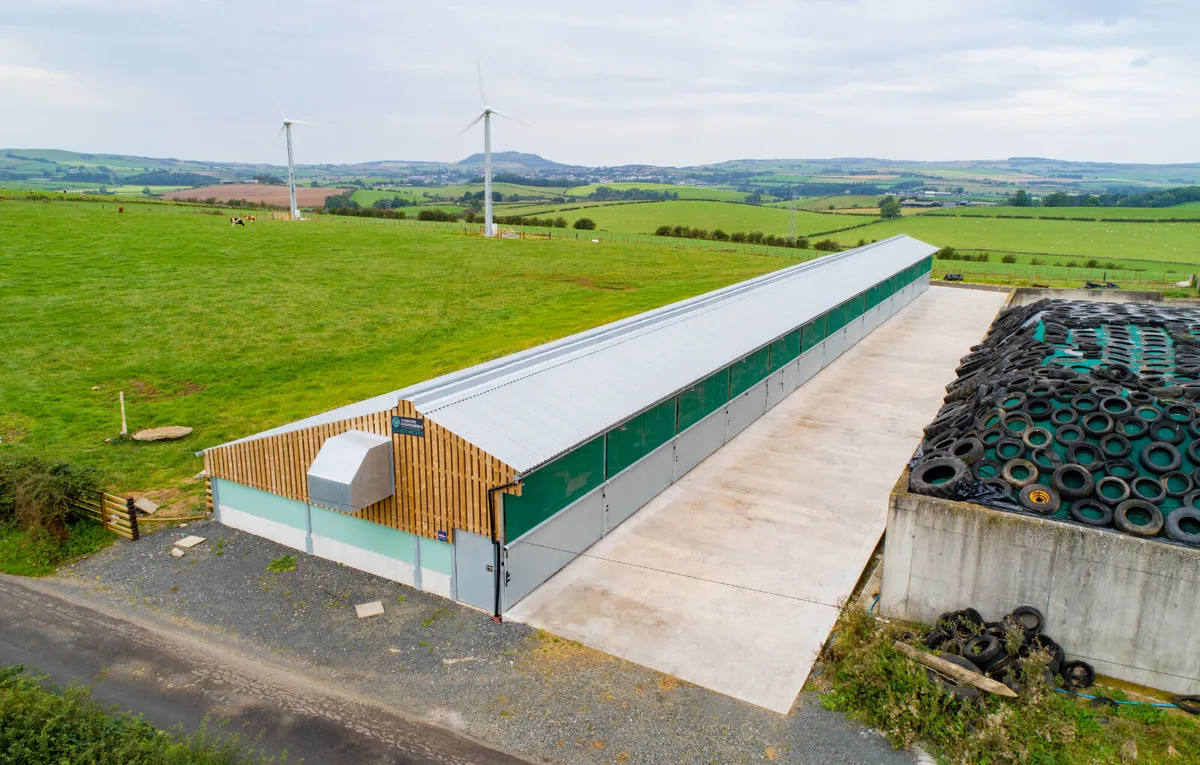 Mono Calf Building - Image 1