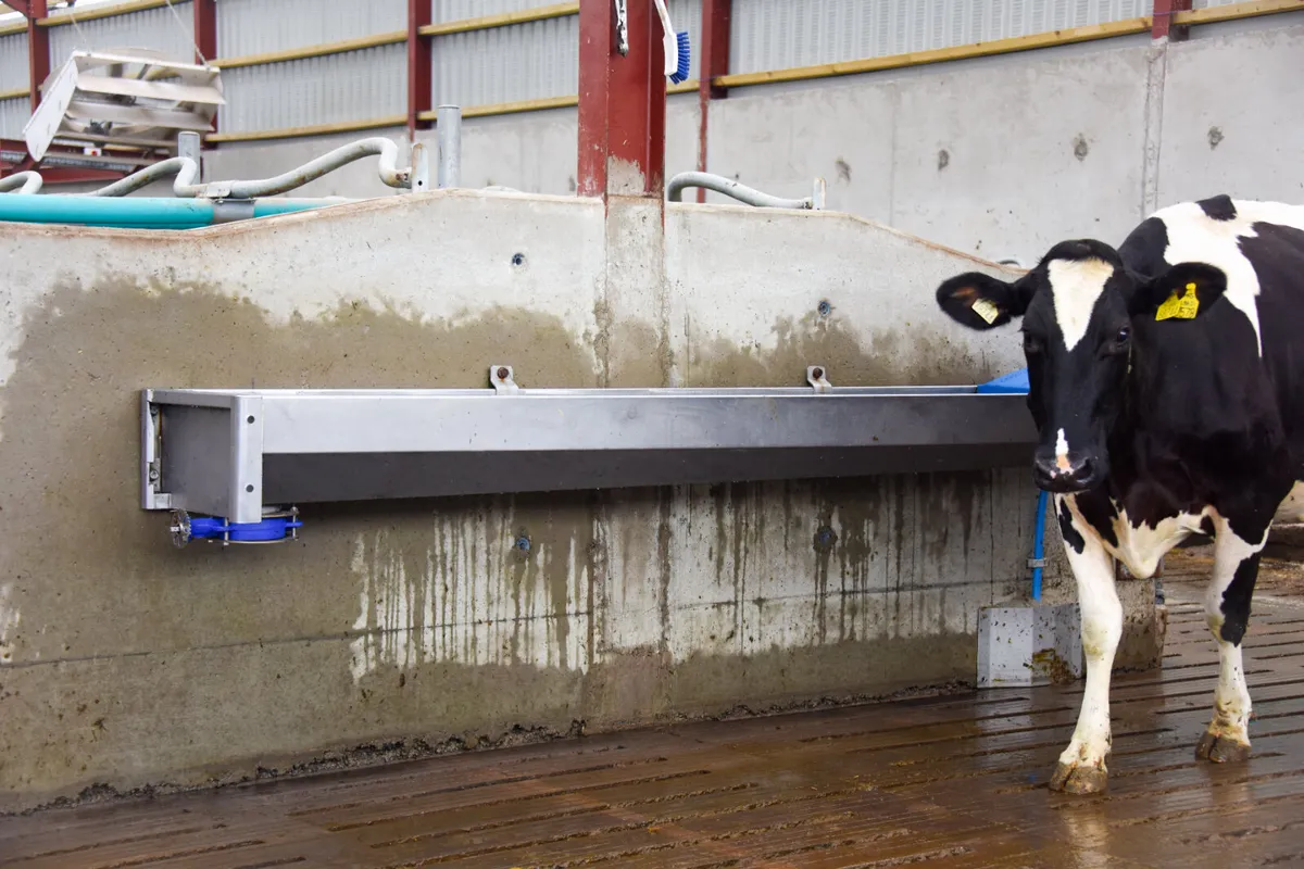 Teemore Stainless Steel Fast Empty Drinker Trough - Image 1