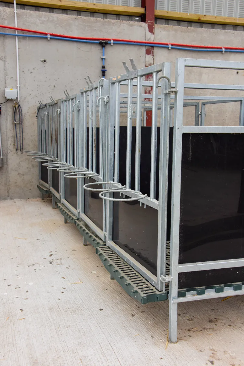 Teemore Calf Pens - Image 3