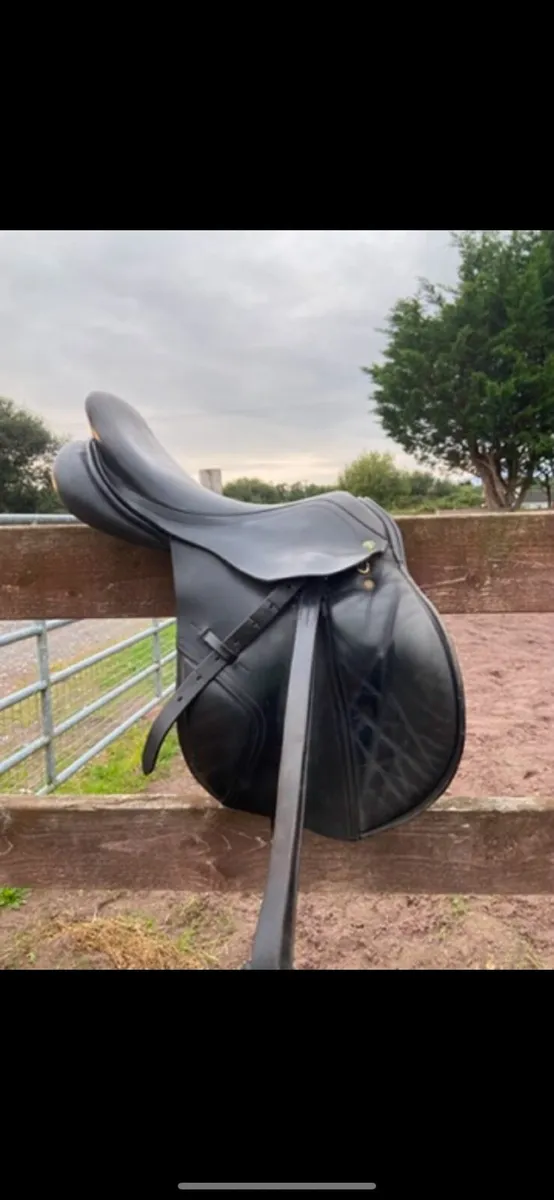 Saddle - Image 2