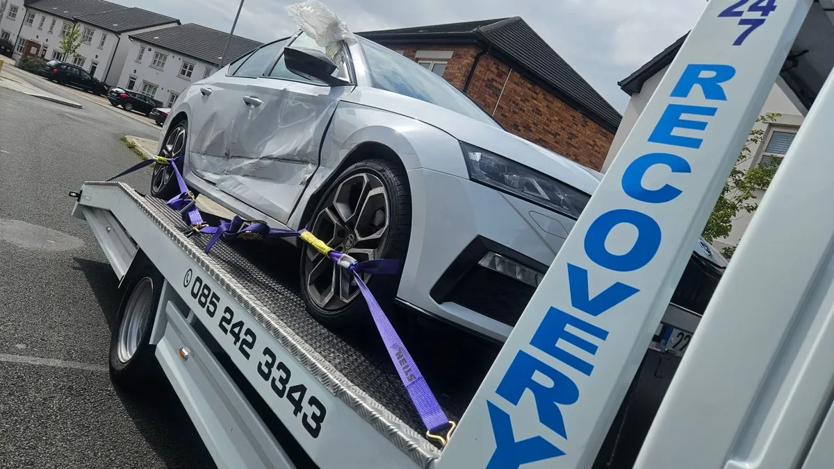 Kildare Recovery - Image 1