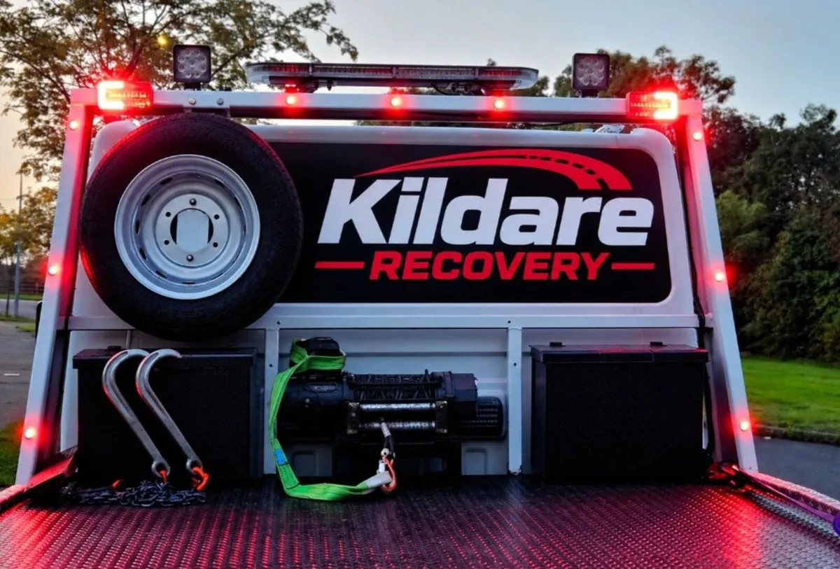 Kildare Recovery - Image 2