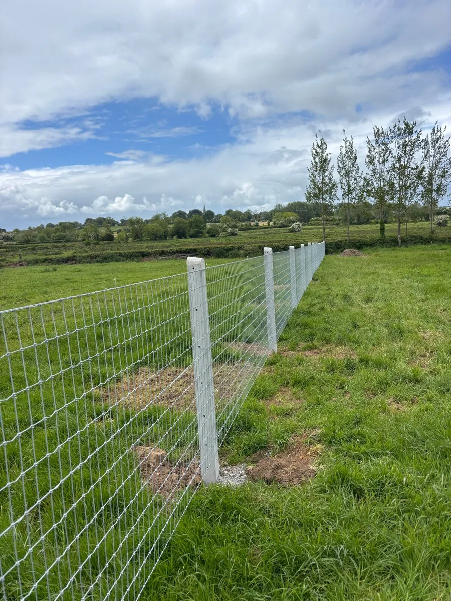 Fencing Contractor - Image 4