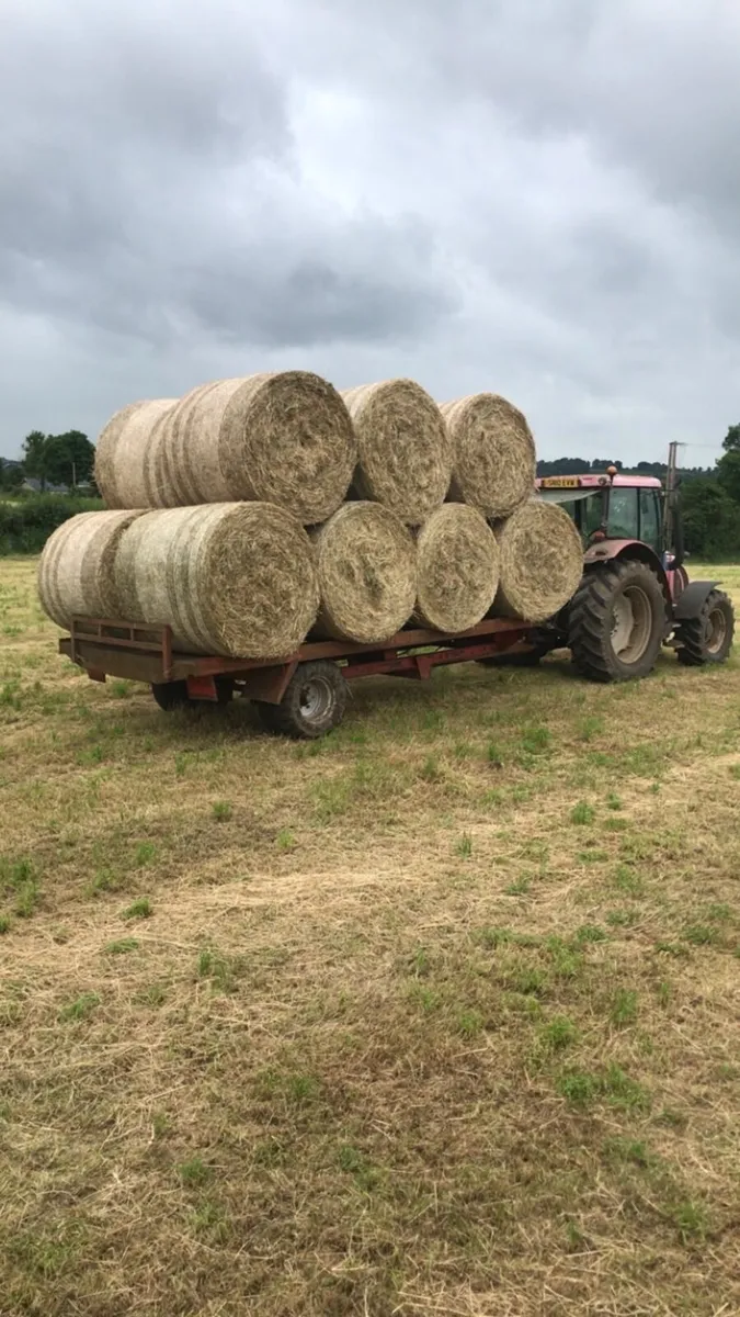 Large quantity of Top quality june 2026 hay - Image 1