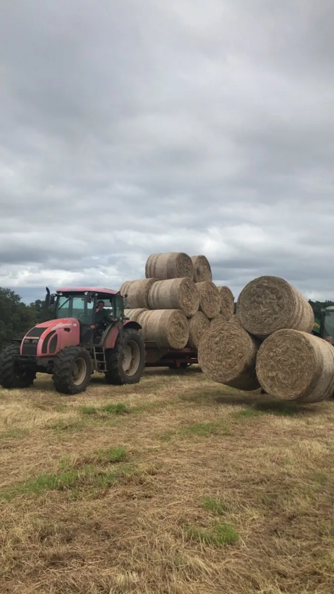 Large quantity of Top quality june 2026 hay - Image 2