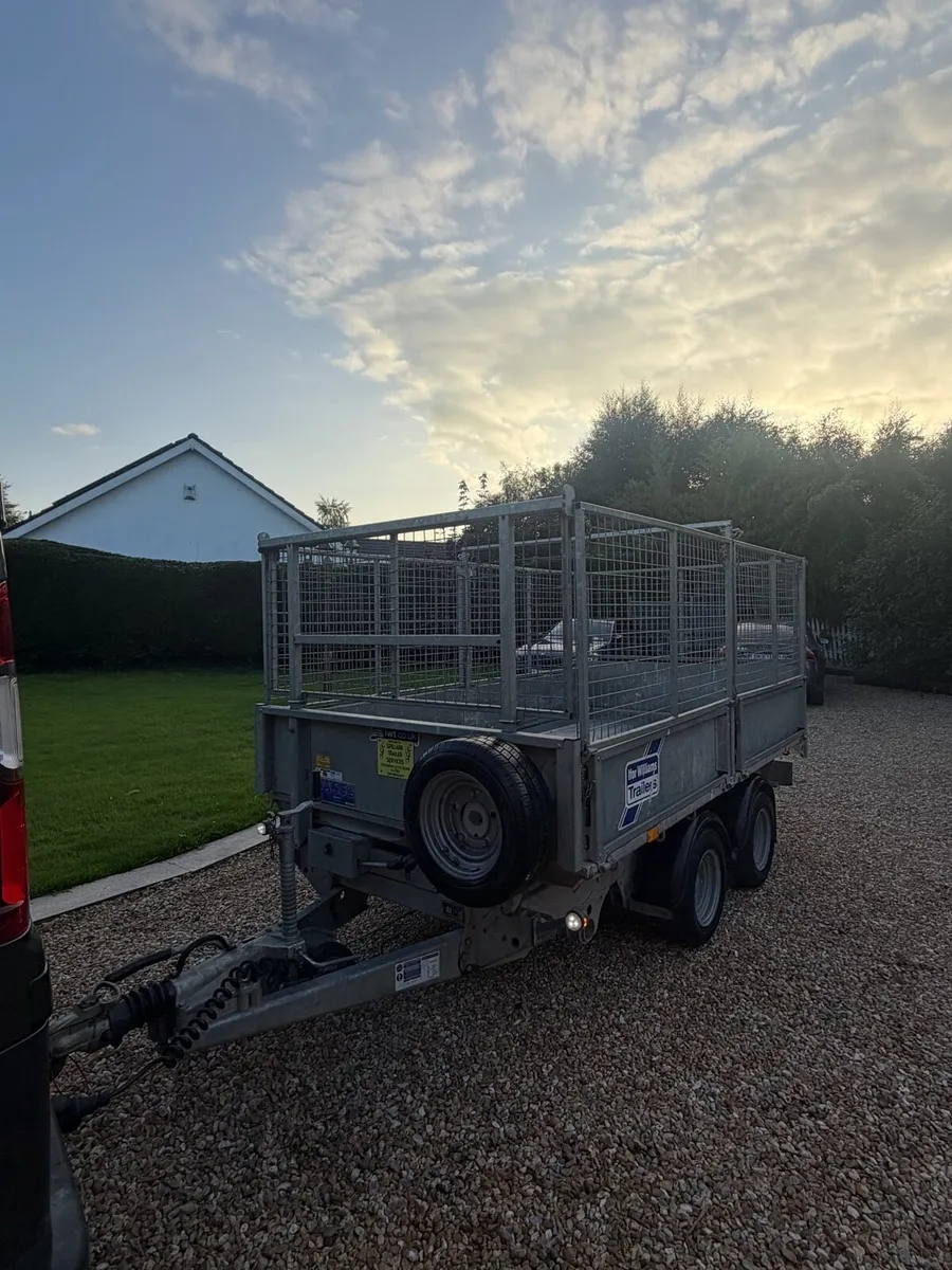 2024 10x5,6 Ifor Williams Tipper C/w high mesh - Image 2