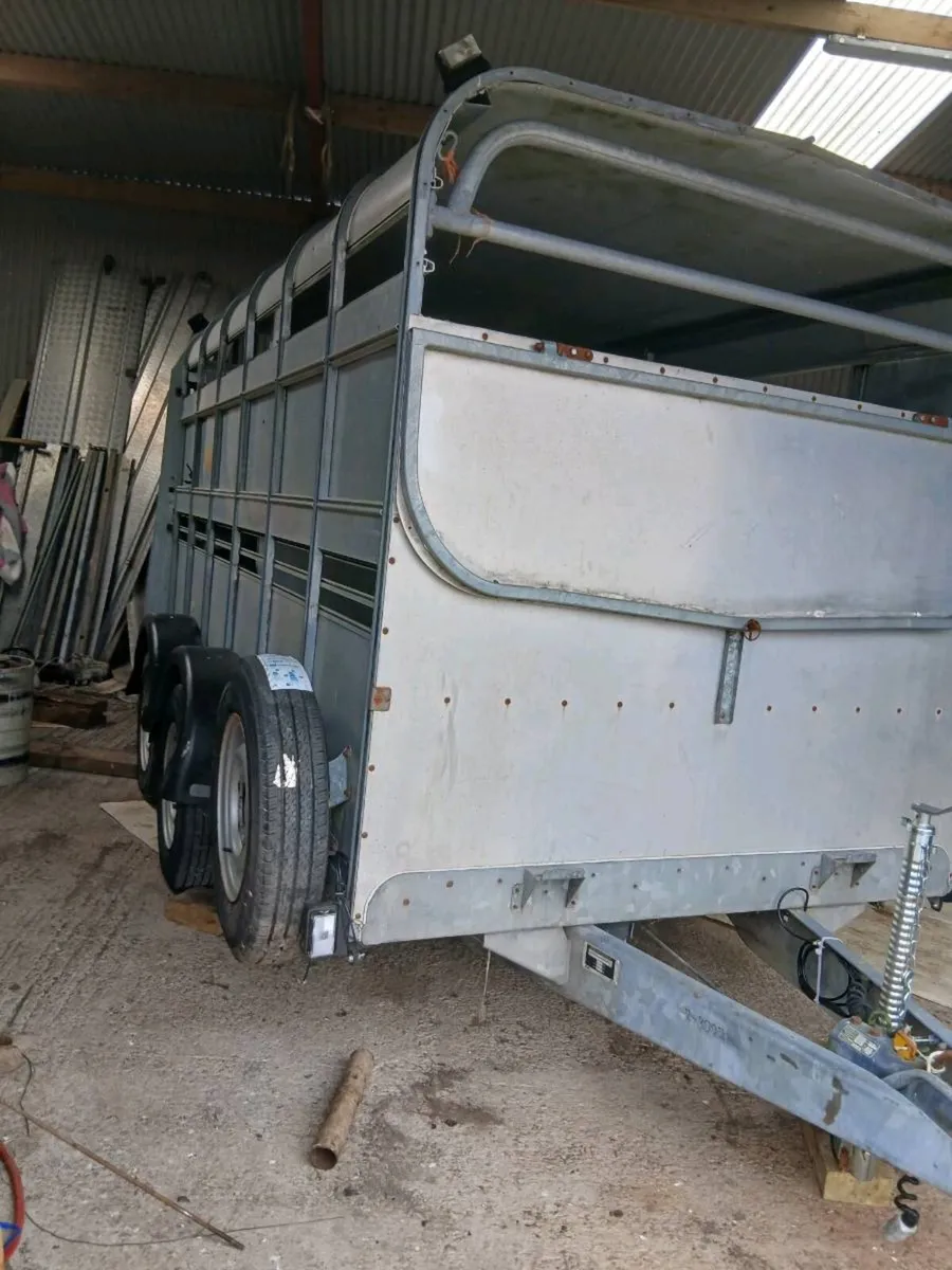 Mint ifor cattle trailer CALL 0868782672 - Image 1